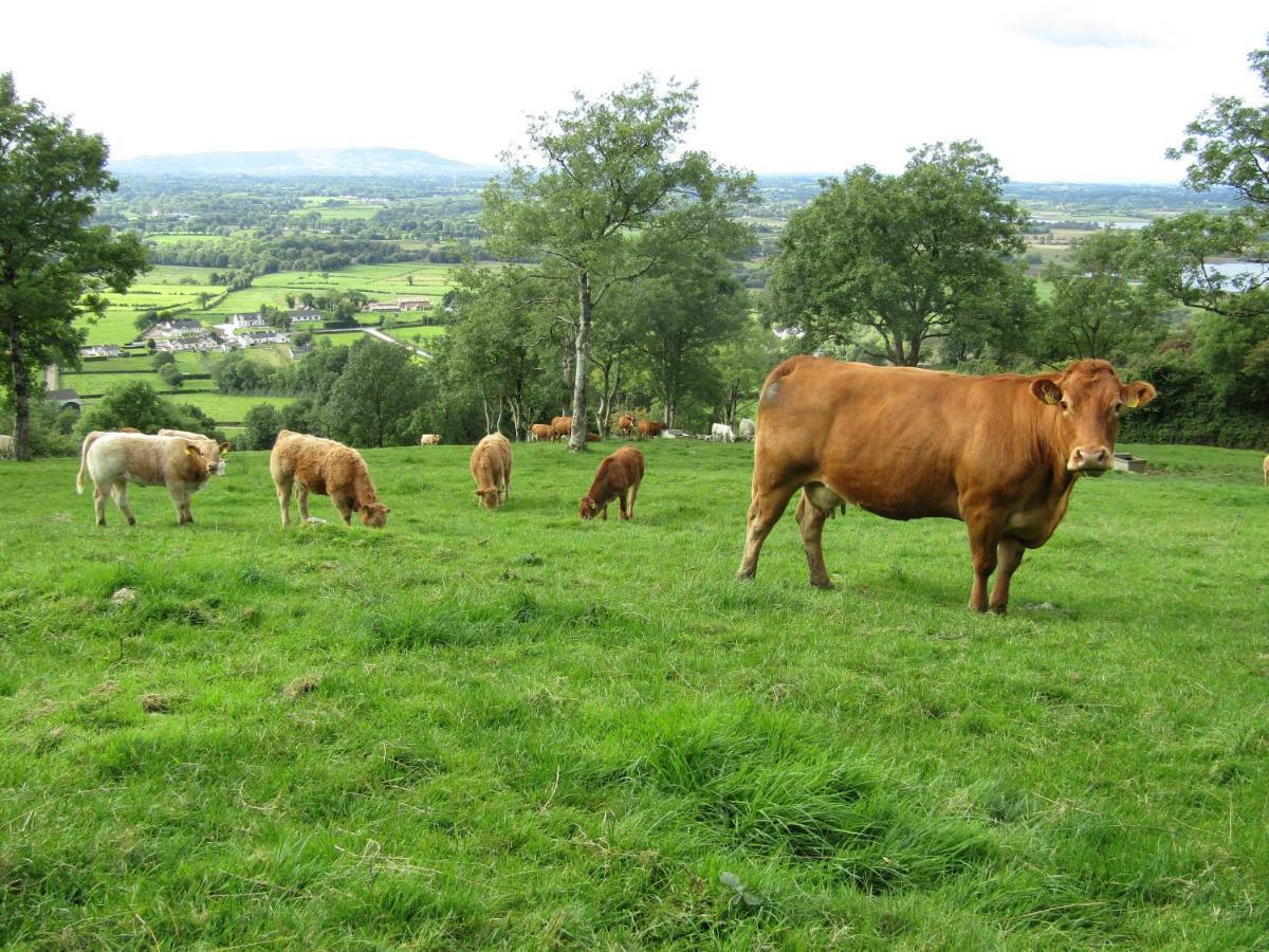 Knockninny Barn At Upper Lough Erne, County Fermanagh Enniskillen Exterior photo